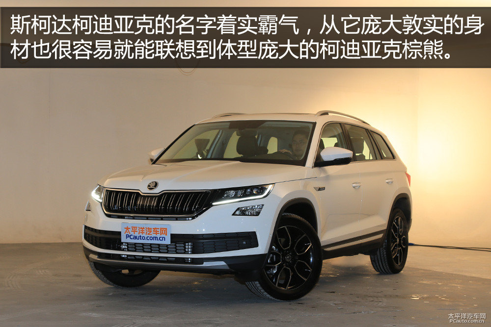 柯迪亞克圖片