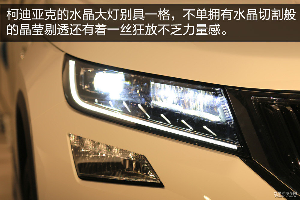 柯迪亞克圖片