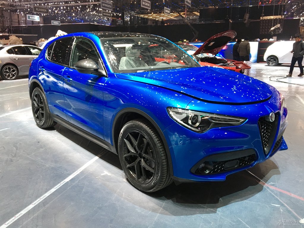 Stelvio斯坦維圖片