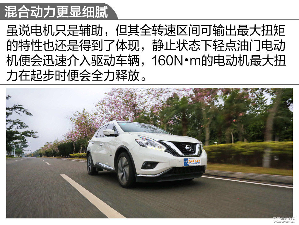 樓蘭圖片
