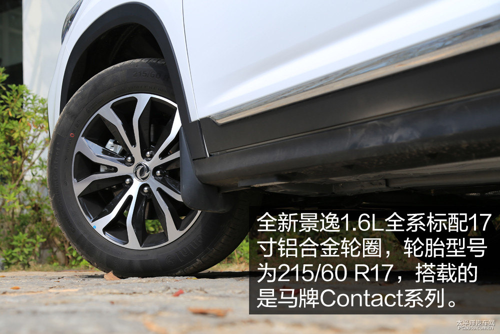 X5DƬ