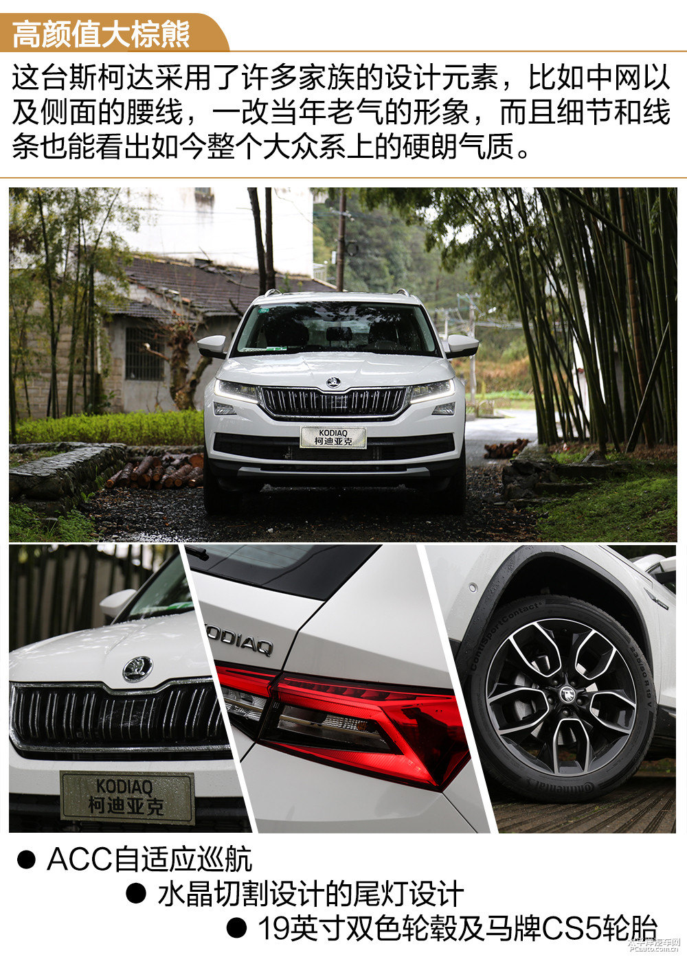 柯迪亞克圖片