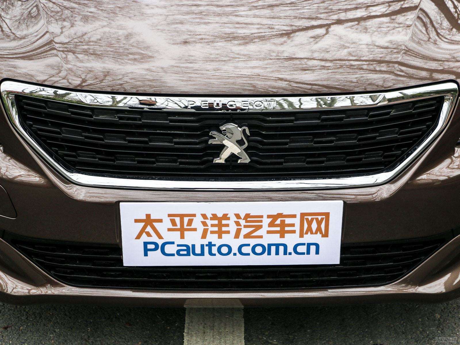 標(biāo)致301外觀高清大圖