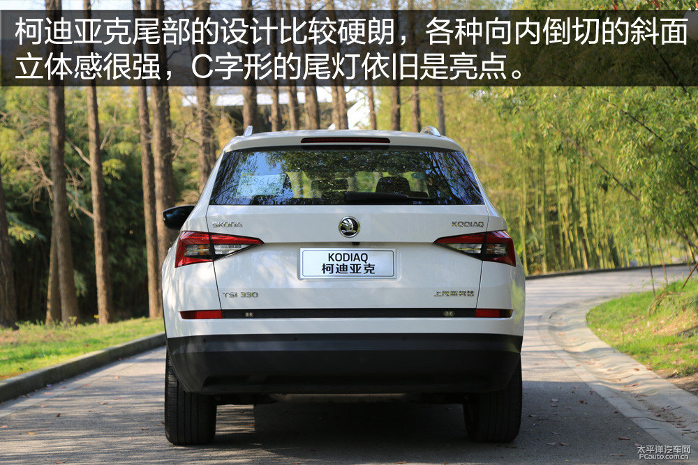 柯迪亞克圖片