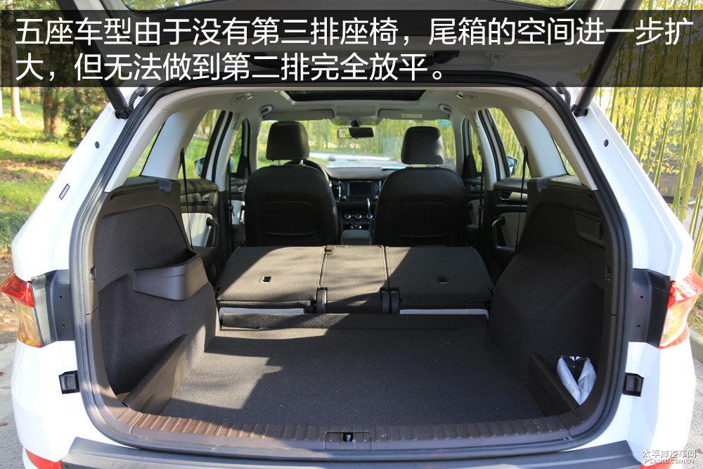 柯迪亞克圖片