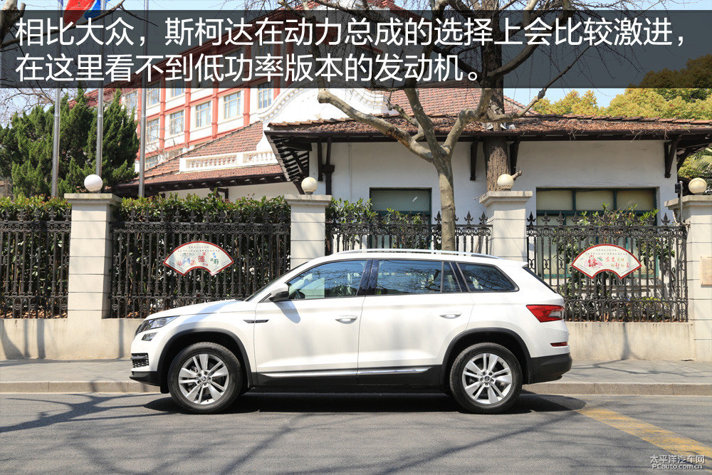 柯迪亞克圖片