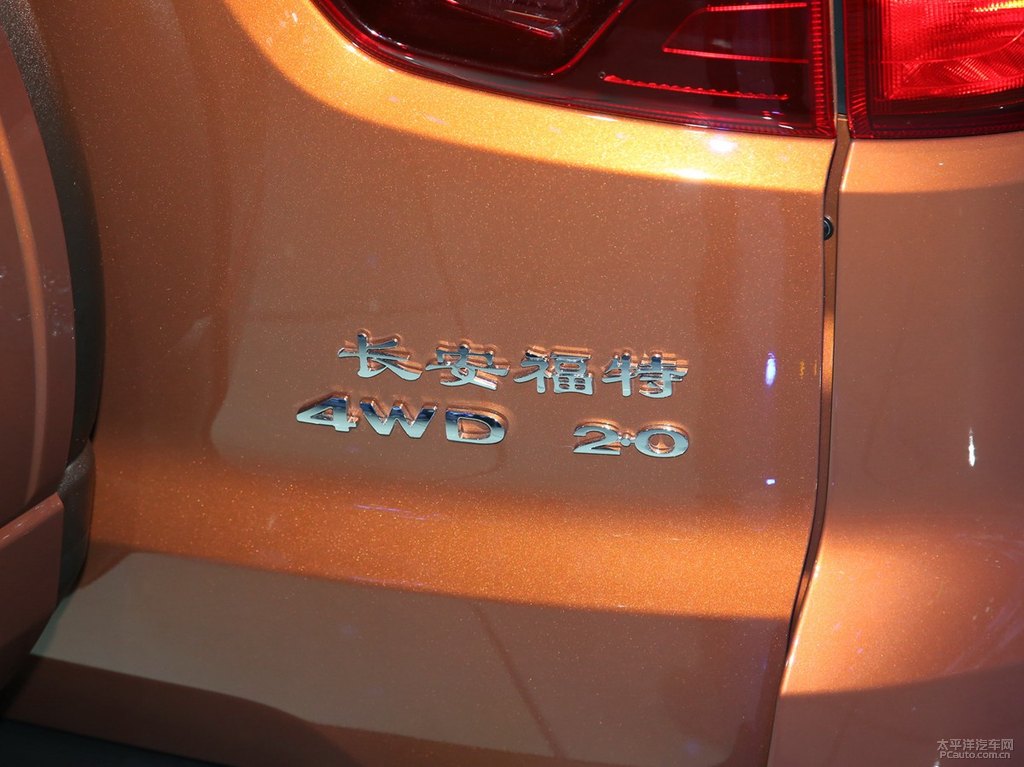翼搏圖片