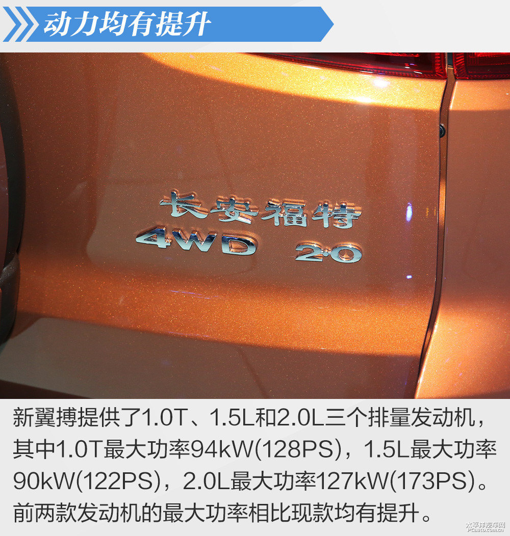 翼搏圖片