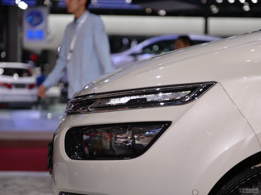 C4 PICASSO܇^^DƬ