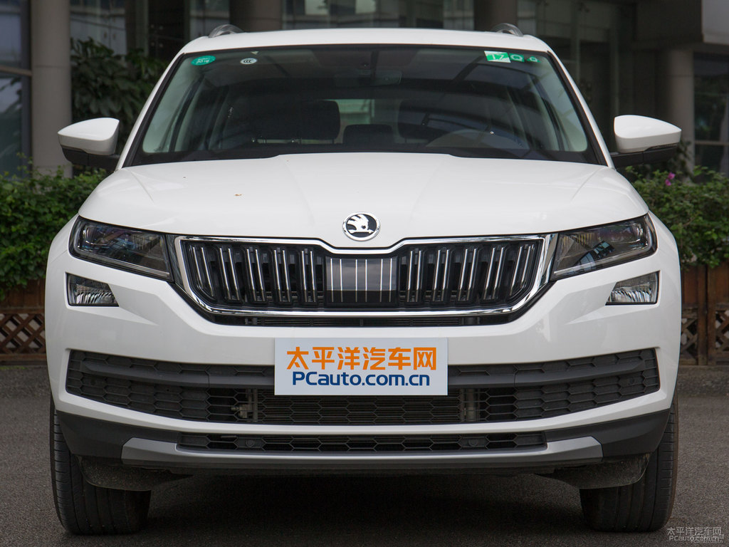 冰雪白柯迪亞克車頭外觀圖片