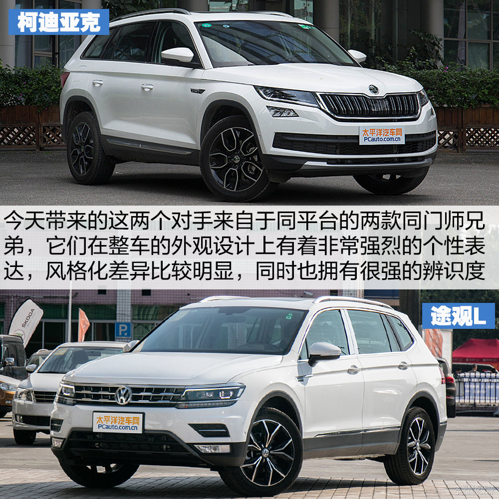 柯迪亞克圖片