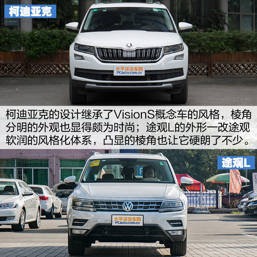 柯迪亞克圖片