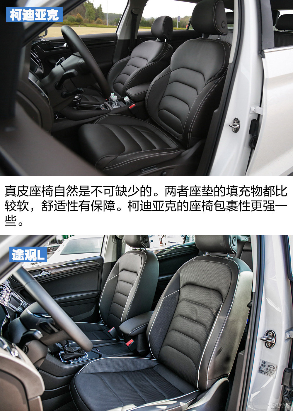 柯迪亞克圖片