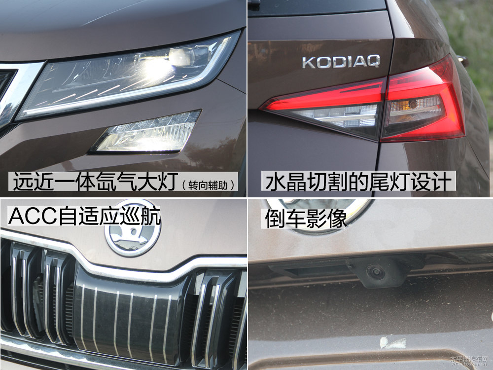 柯迪亞克圖片