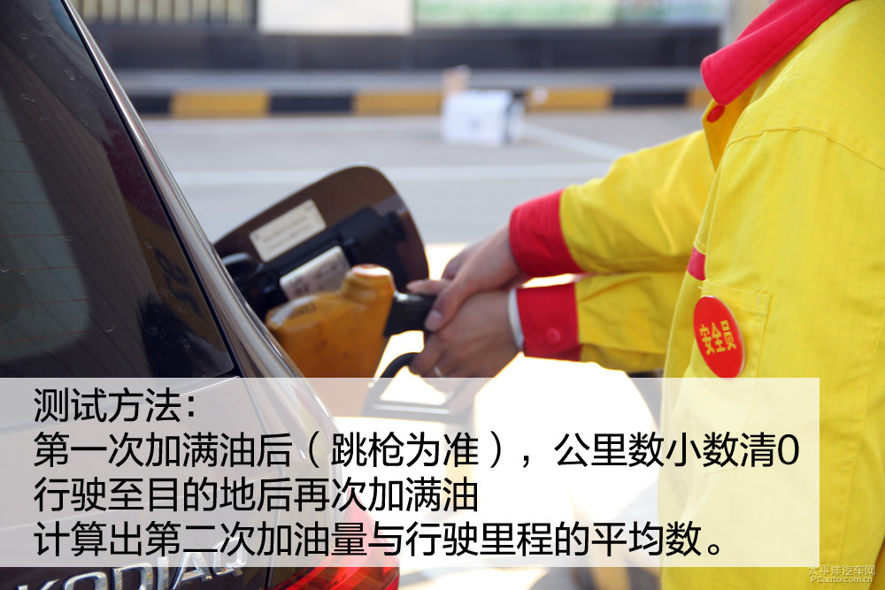 柯迪亞克圖片