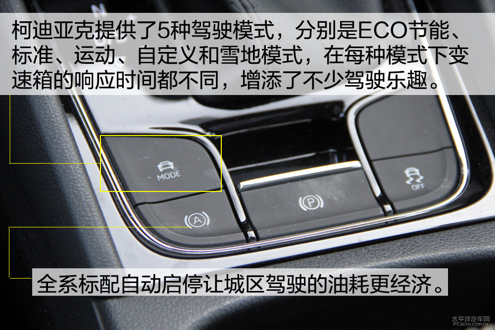 柯迪亞克圖片