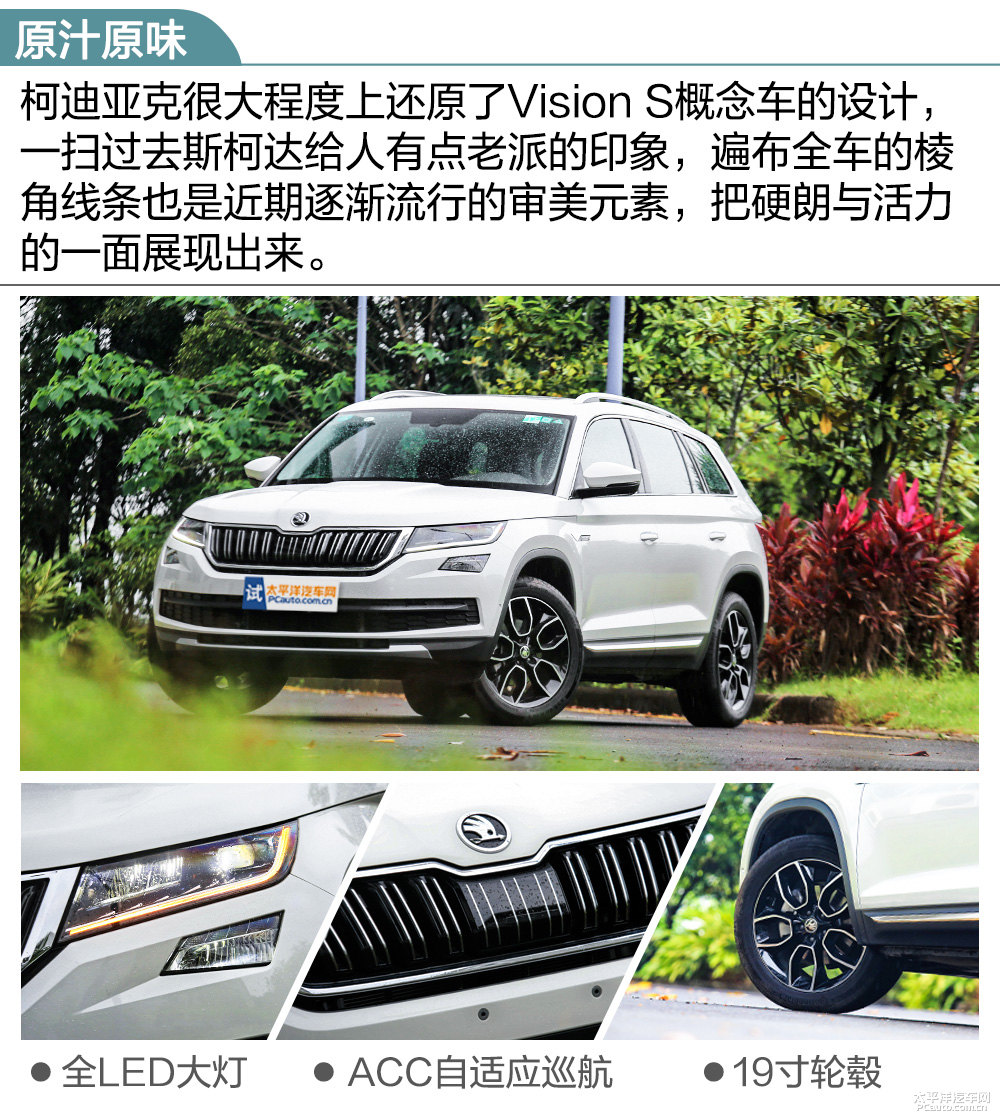 柯迪亞克圖片