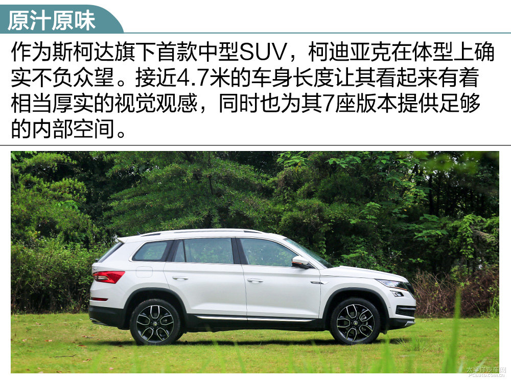 柯迪亞克圖片