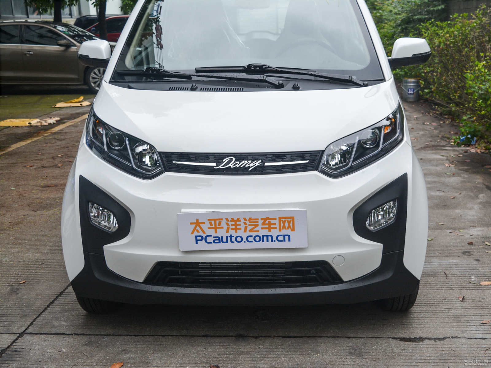 芝麻外觀高清大圖