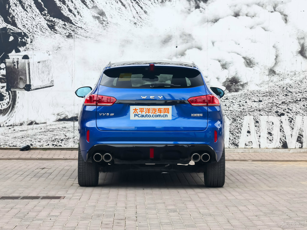施華洛藍(lán)魏牌 VV5整車外觀外觀圖片