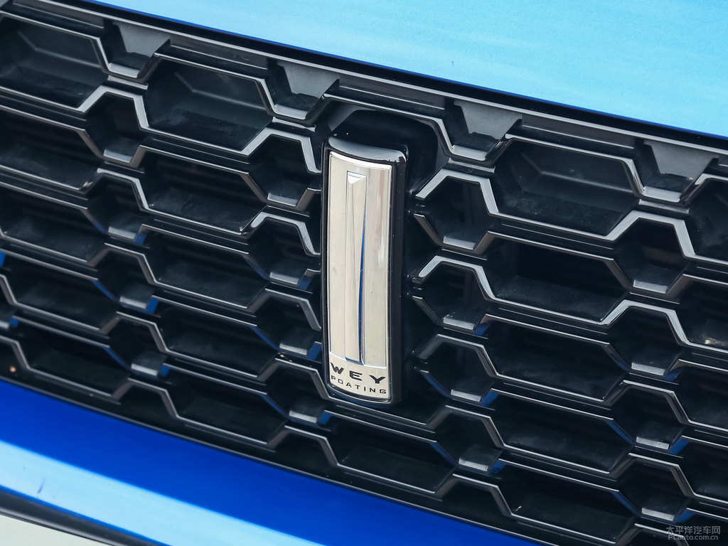 施華洛藍(lán)魏牌 VV5車頭外觀圖片