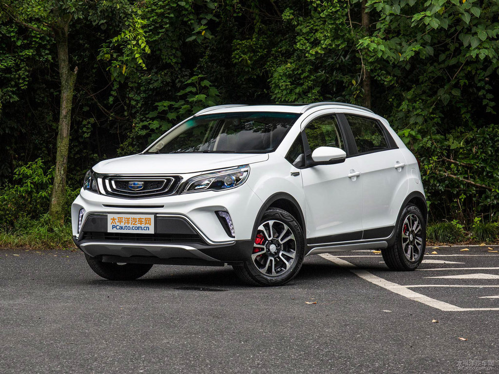 冰晶白遠(yuǎn)景X3整車(chē)外觀外觀圖片