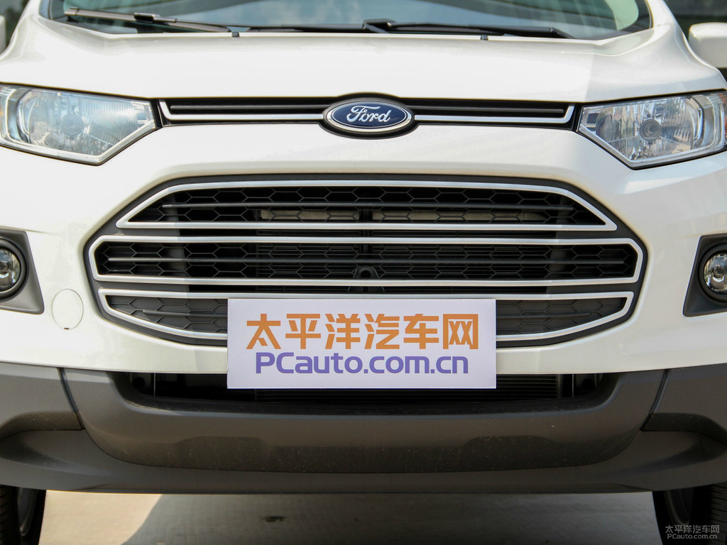 典雅白翼搏車頭外觀圖片