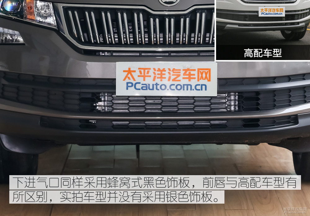 柯迪亞克圖片