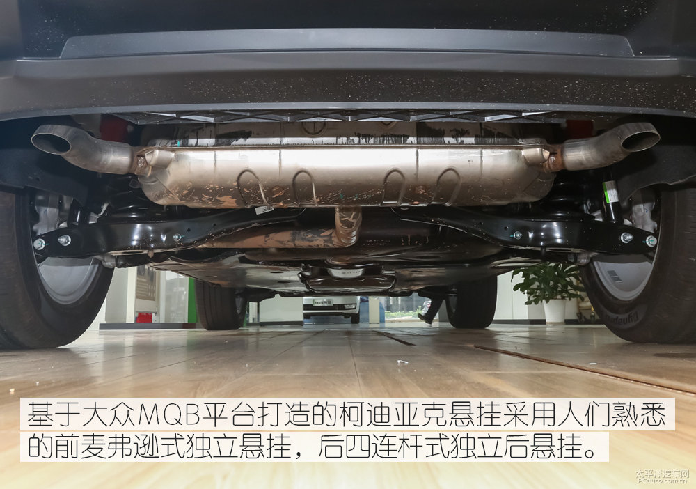 柯迪亞克圖片