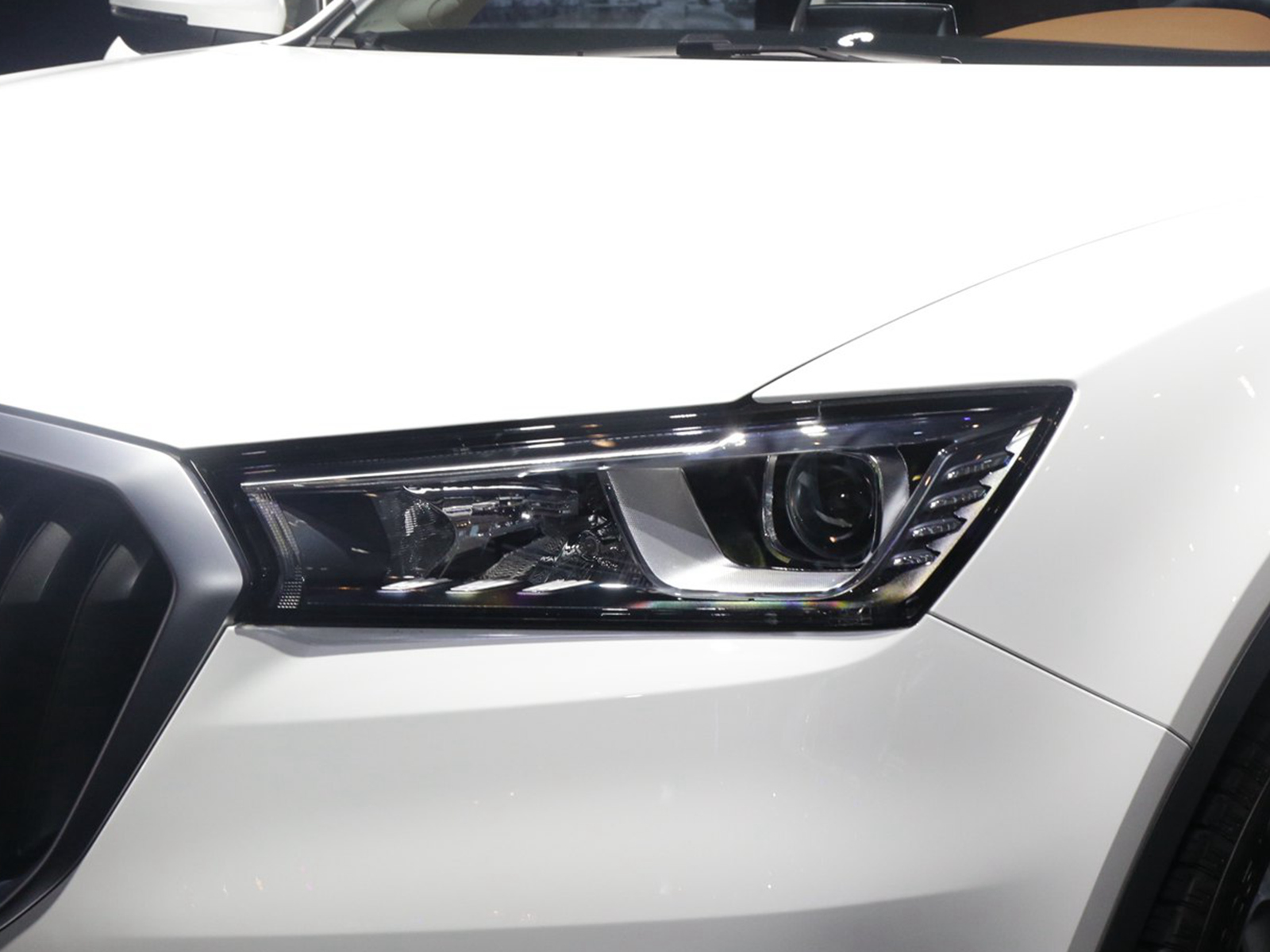 BX5DƬ