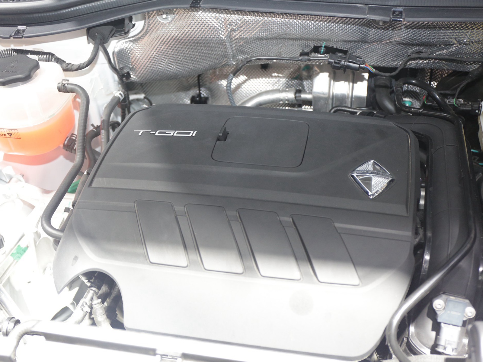 BX5DƬ