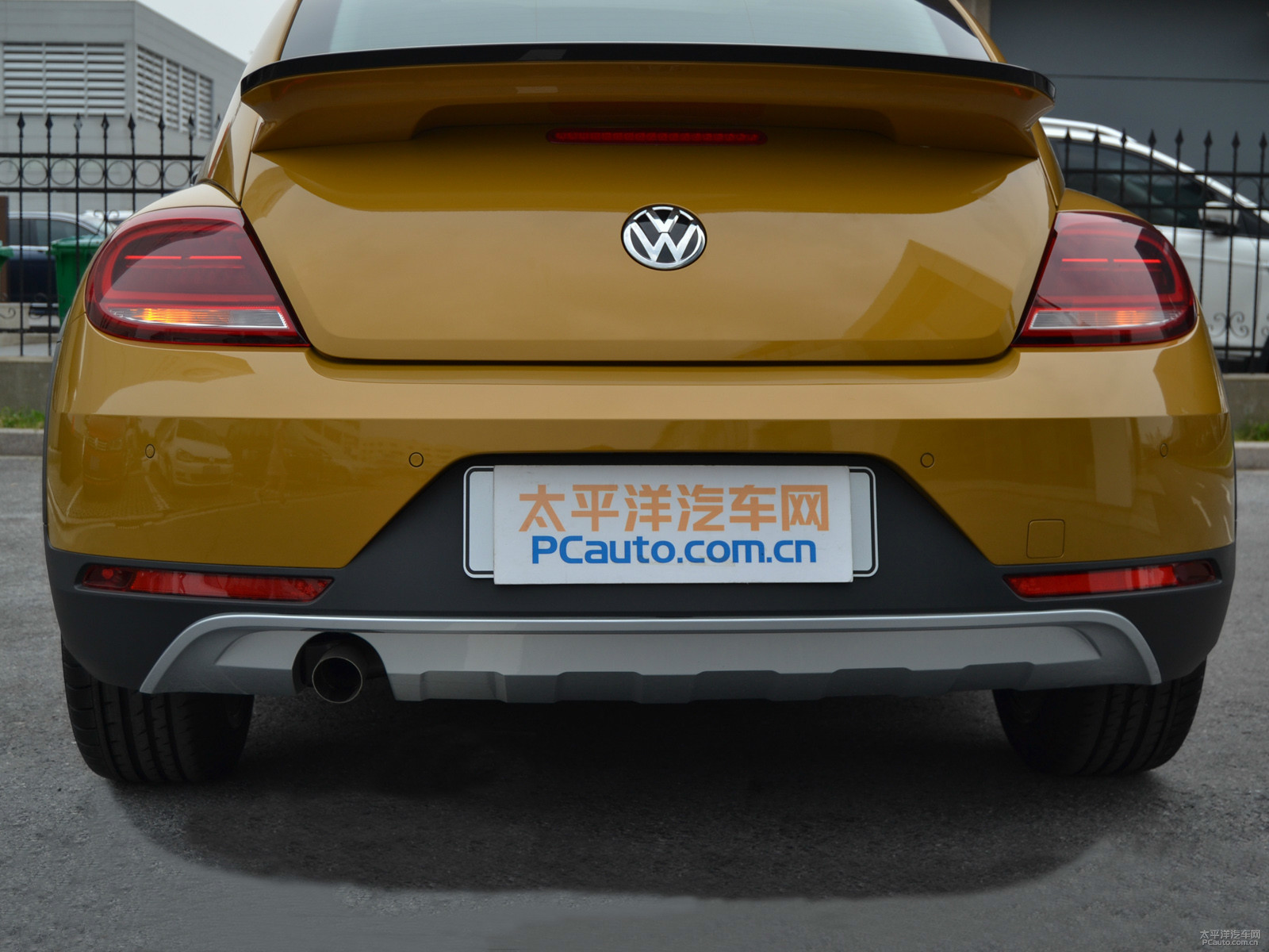 甲殼蟲外觀高清大圖