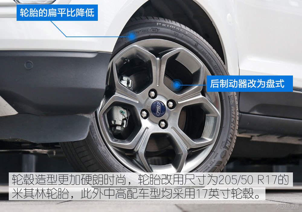 翼搏圖片