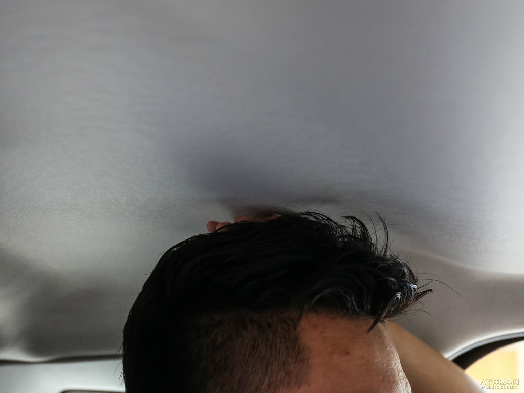 喜馬拉雅白翼搏駕乘空間空間圖片
