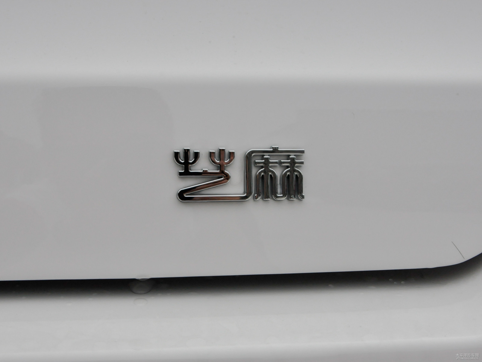 芝麻外觀高清大圖
