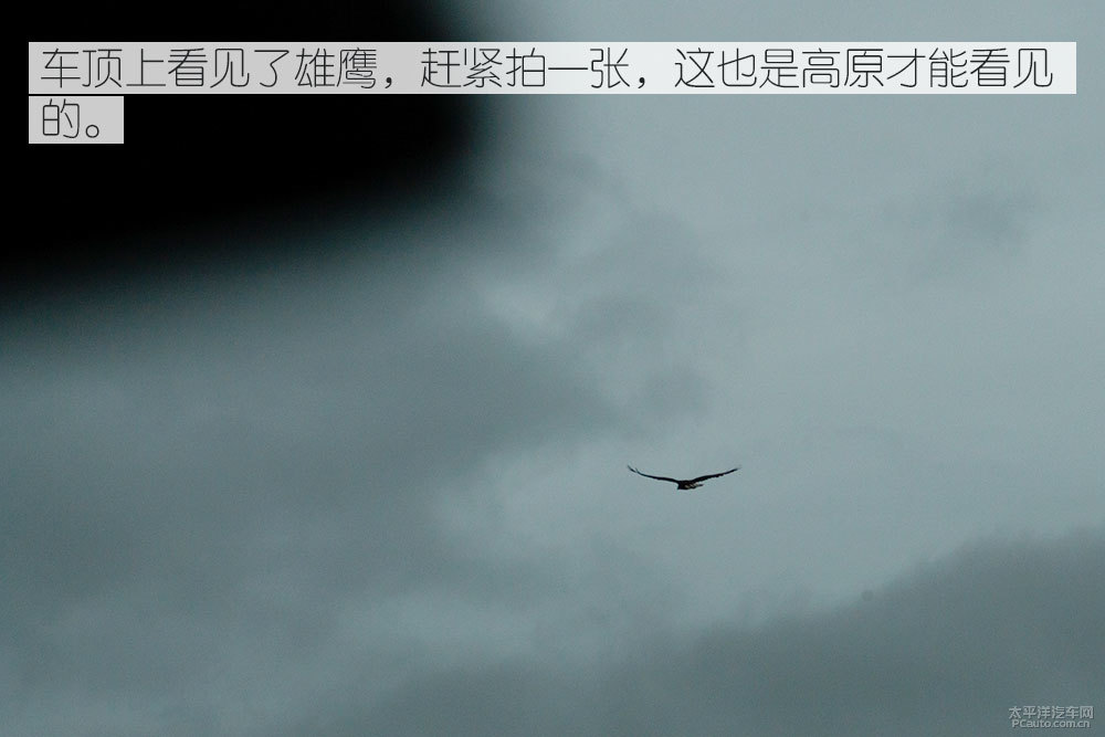 馬自達(dá)CX-4圖片