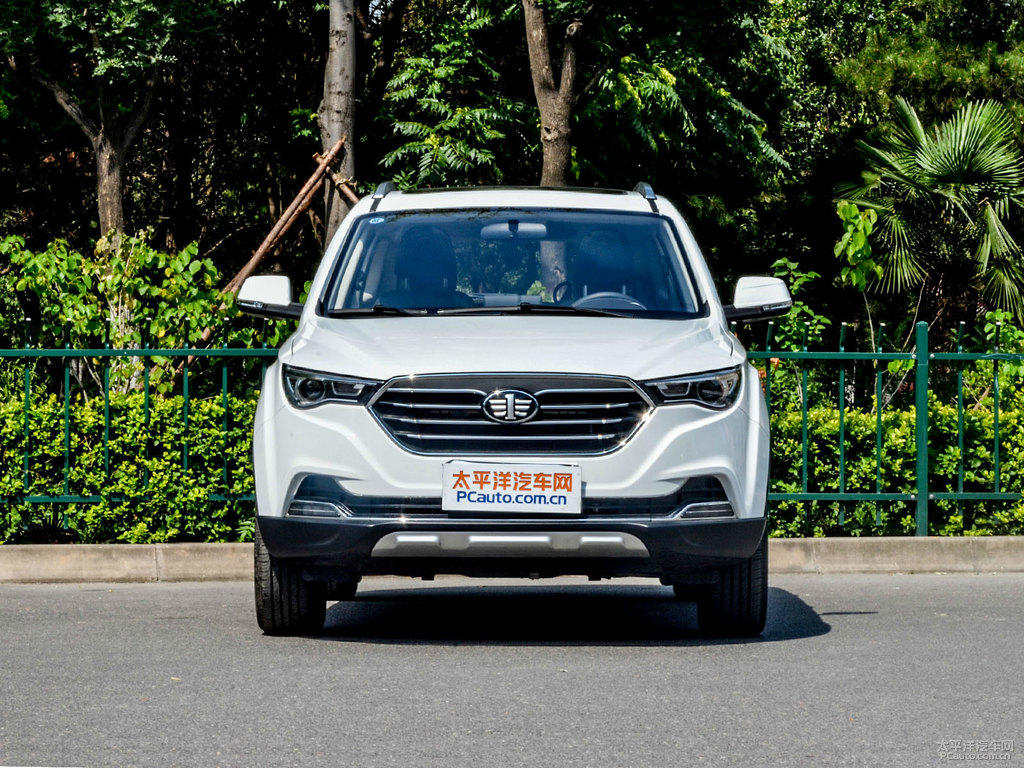 北極白奔騰X40整車外觀外觀圖片