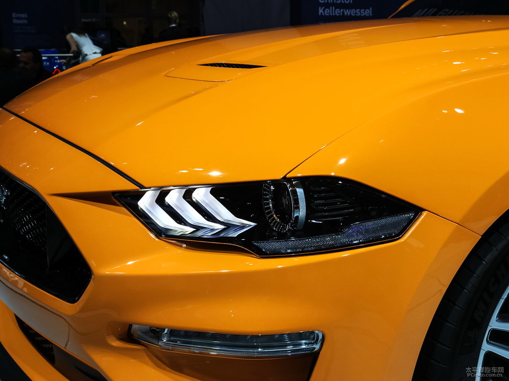 MustangDƬ
