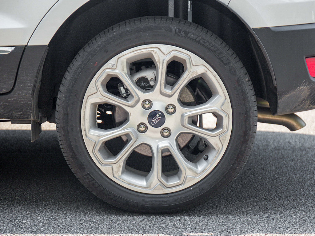 喜馬拉雅白翼搏車身外觀圖片