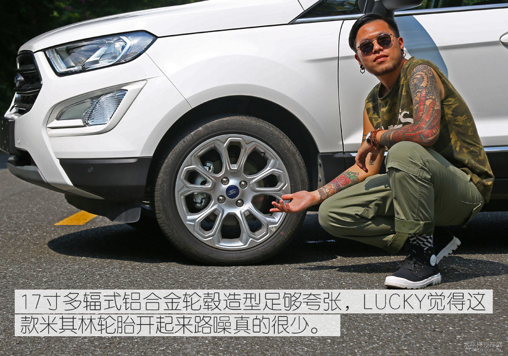 翼搏圖片