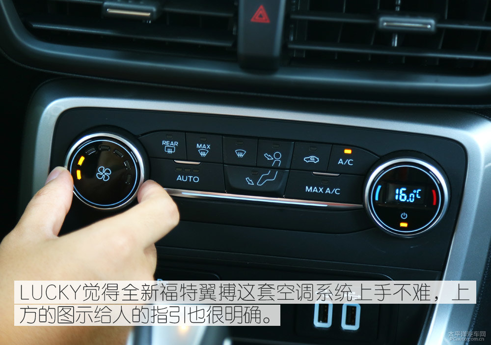 翼搏圖片