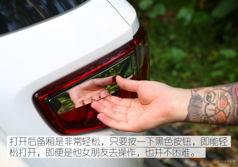 翼搏圖片