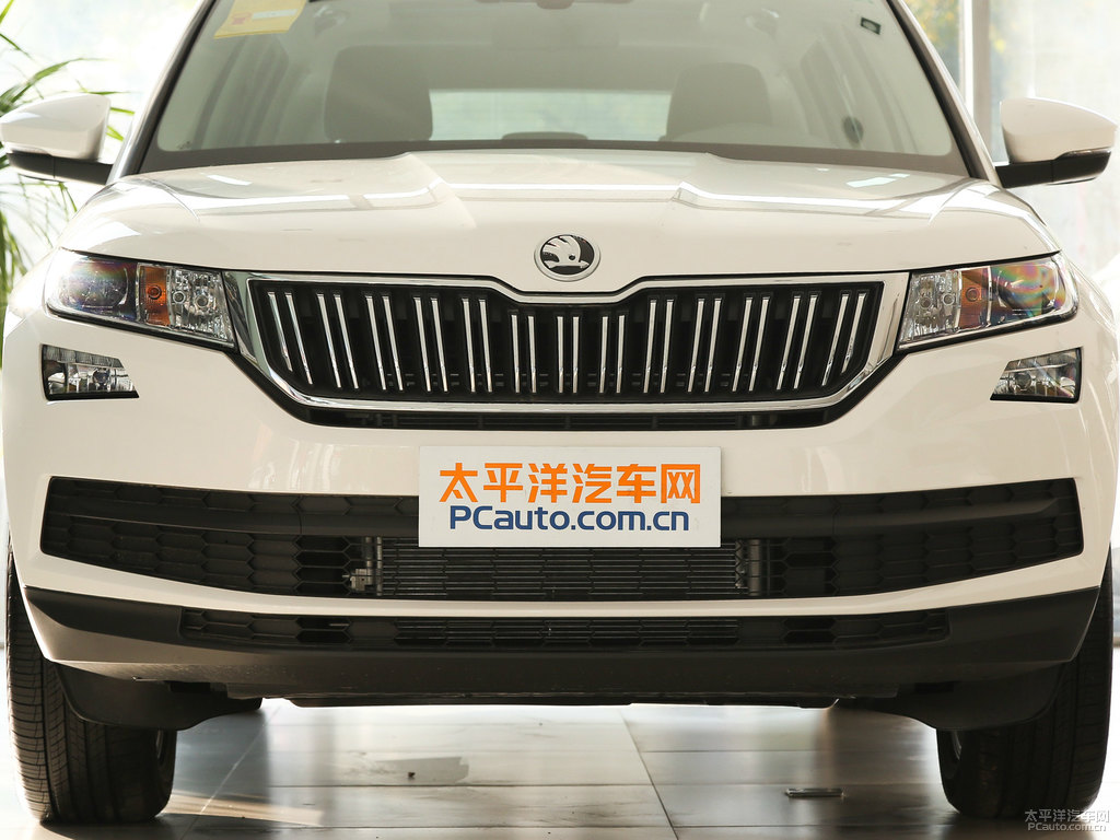 冰雪白柯迪亞克車(chē)頭外觀圖片