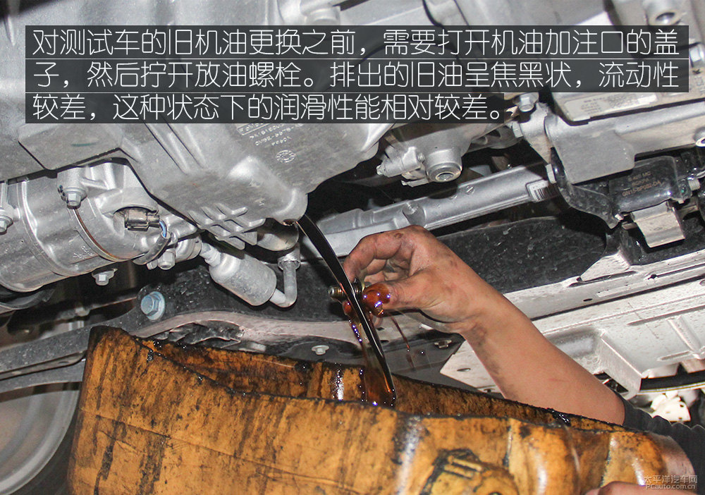 翼搏圖片