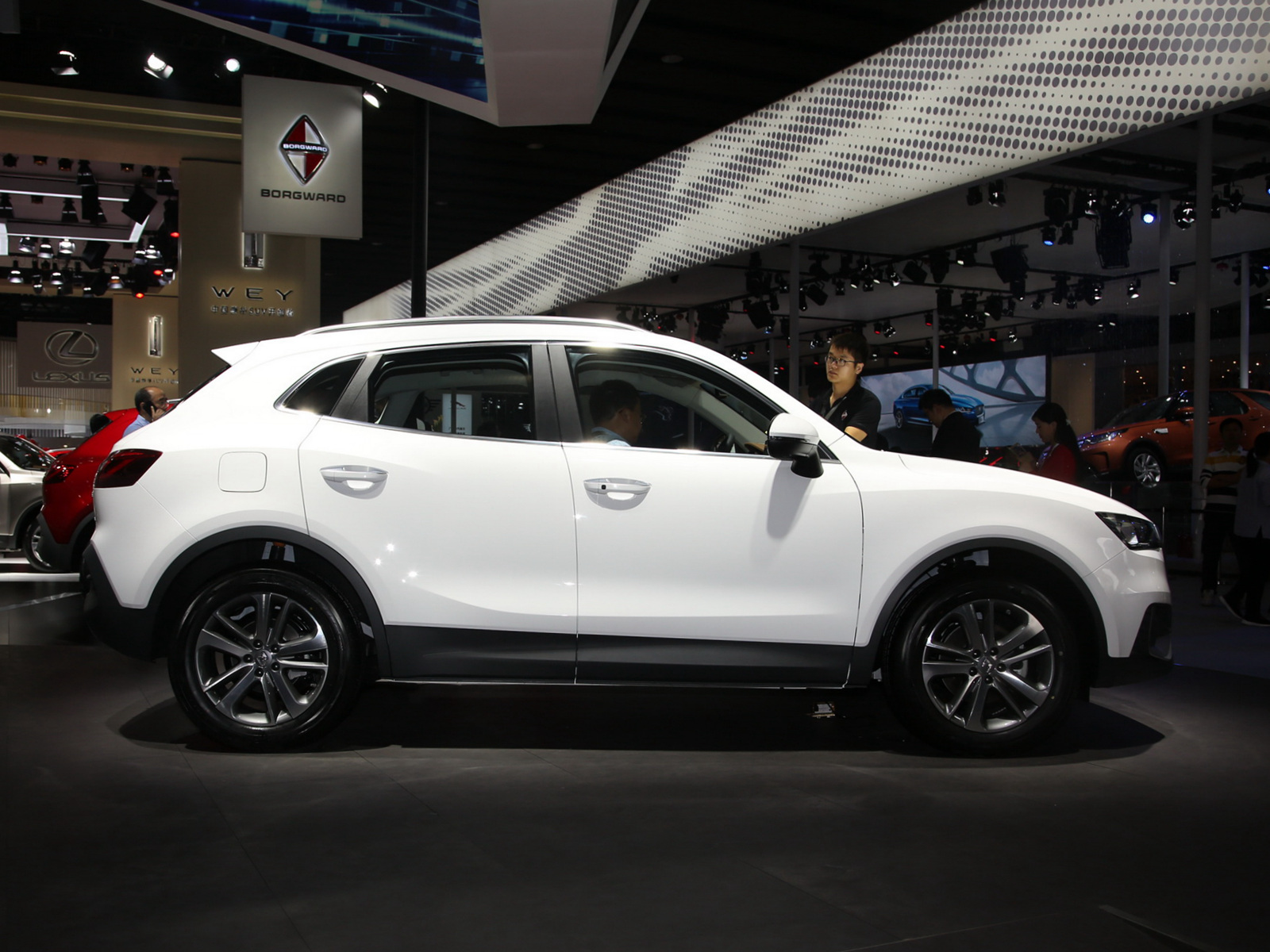 BX5DƬ