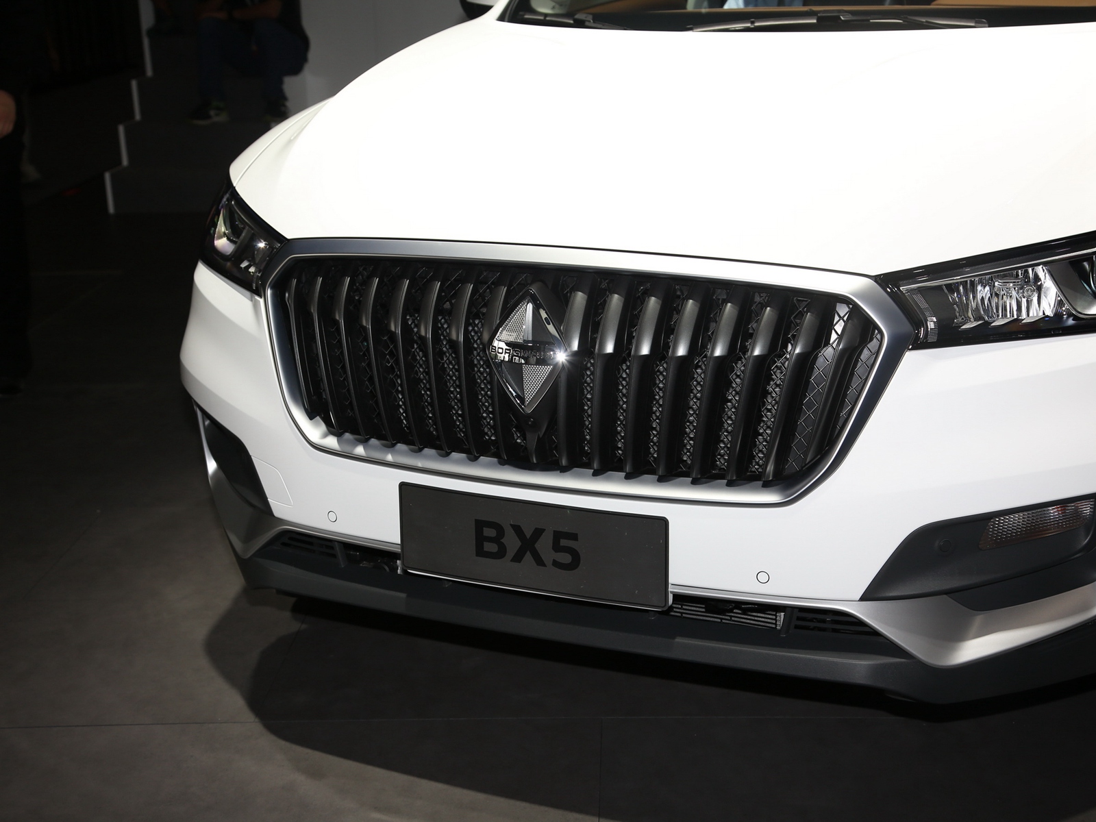 BX5DƬ