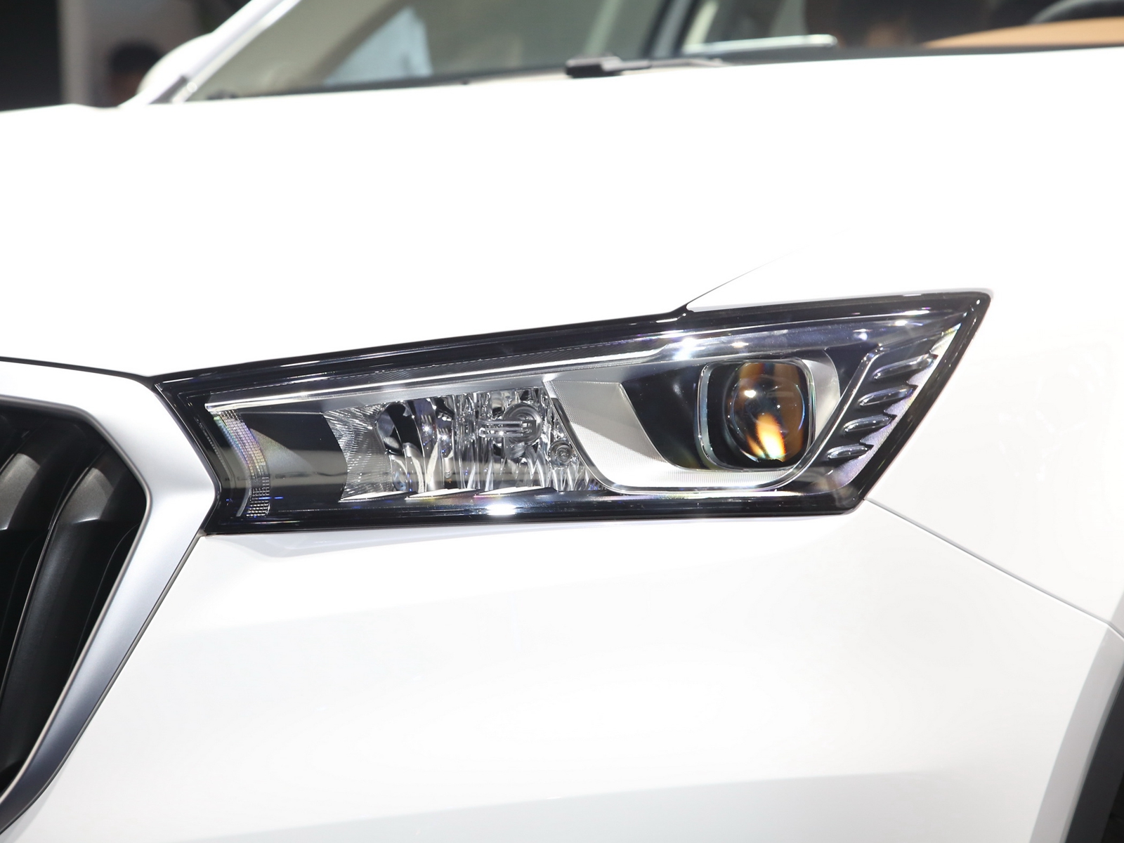 BX5DƬ
