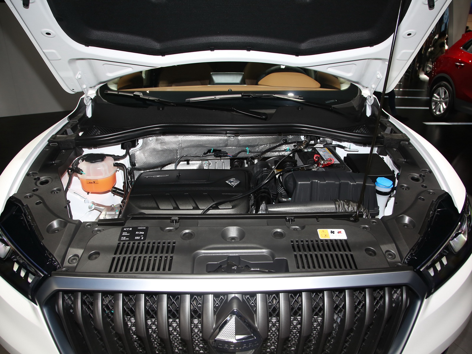 BX5DƬ