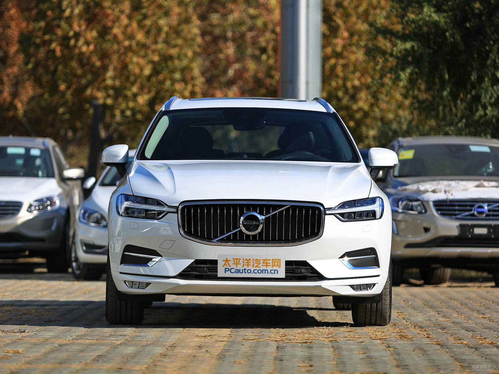 沃爾沃XC60外觀高清大圖