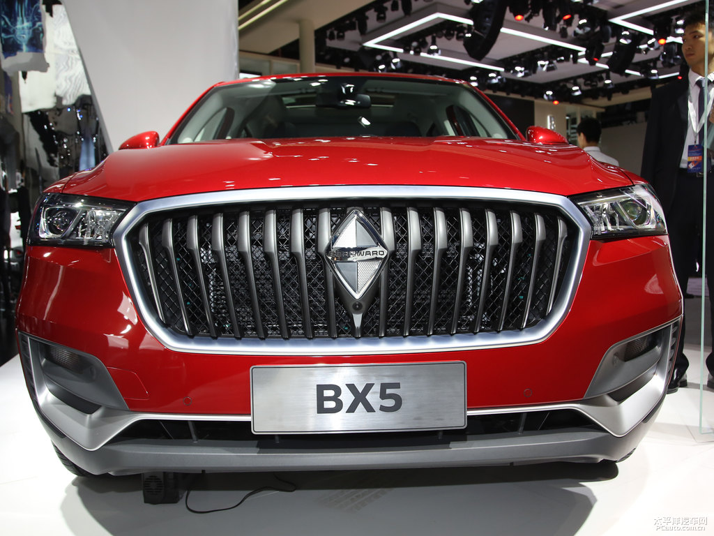 BX5DƬ